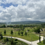 Why Georgia Should Be Your Next Destination Wedding Location